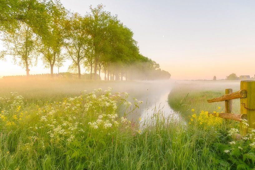 Sonnenaufgang am frühen Morgen während eines schönen Frühlingstages über dem Zwartendijk bei Kampen von Sjoerd van der Wal Fotografie