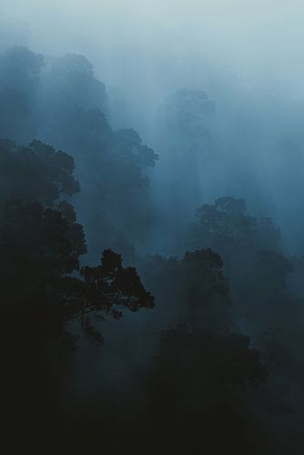 Foggy Mountain Forest von Insolitus Fotografie