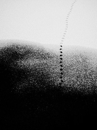 Abstraktes Bild von Fußspuren im Schnee in schwarz und weiß