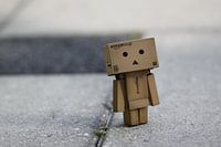 Danbo