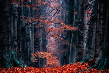 Synapse von Lars van de Goor