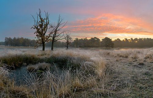 Belle matinée d'hiver aux Pays-Bas