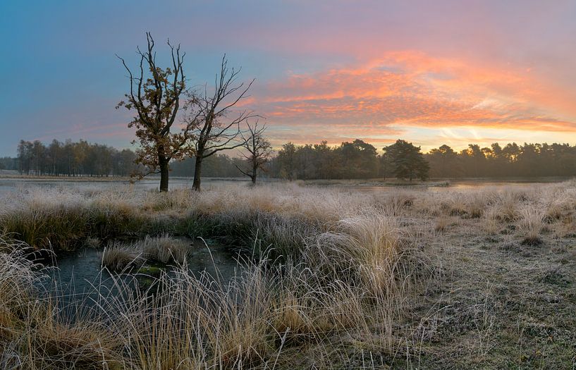 Belle matinée d'hiver aux Pays-Bas par Jos Pannekoek