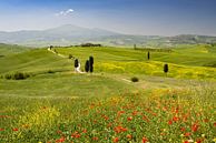 de eindeloze uitgestrektheid van de Val d'Orcia van Walter G. Allgöwer thumbnail