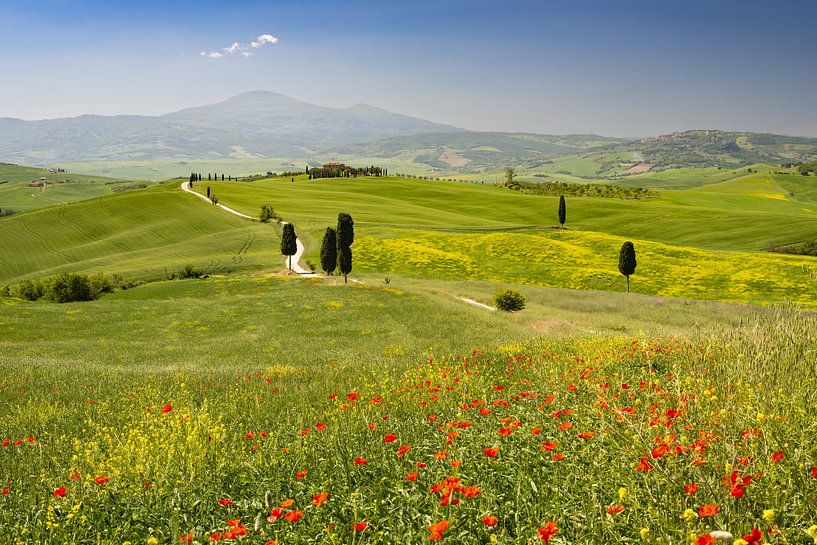 de eindeloze uitgestrektheid van de Val d'Orcia van Walter G. Allgöwer
