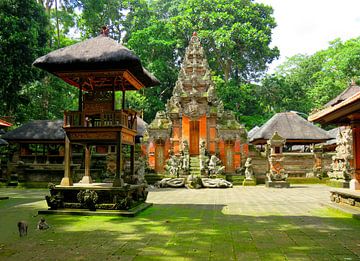 Prachtige tempel in het apenbos van Bali van Thomas Zacharias