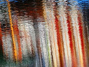 Urban Reflections 66