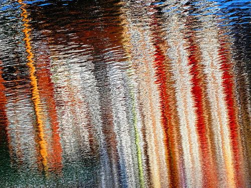 Urban Reflections 66