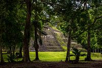 Maya tempel in Midden-Amerika