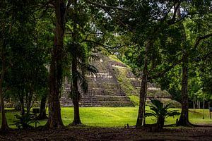 Maya tempel in Midden-Amerika van Sander RB