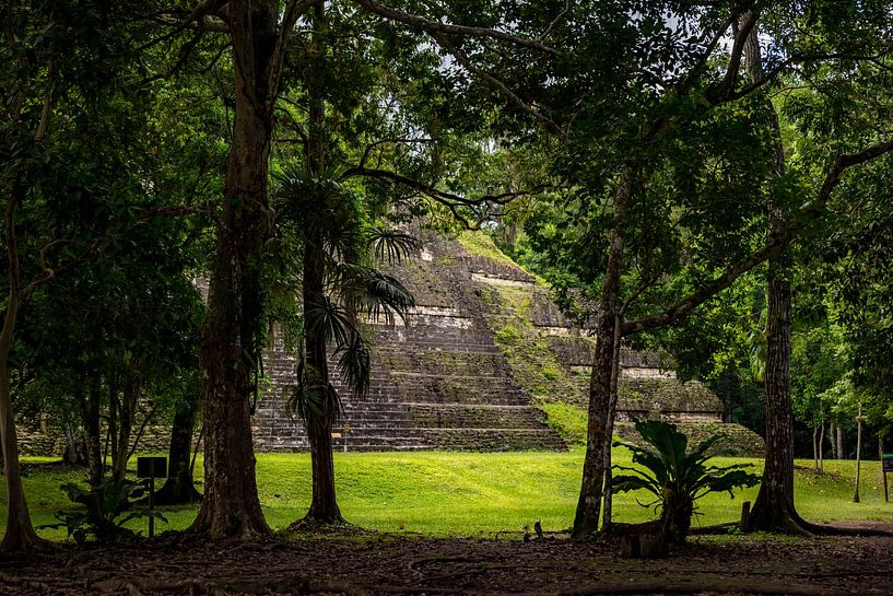 Maya-Tempel in Mittelamerika von Sander RB