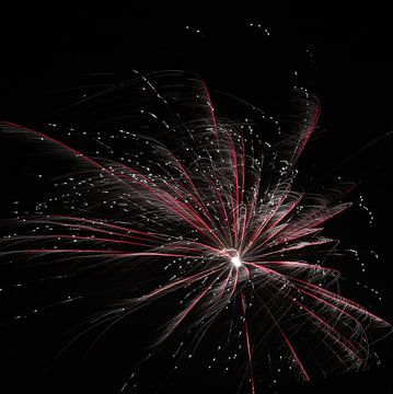 Fireworks Flower by Anne Ponsen