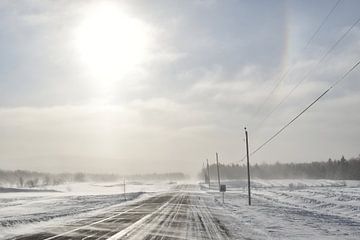 Een landweg op een koude winterdag van Claude Laprise
