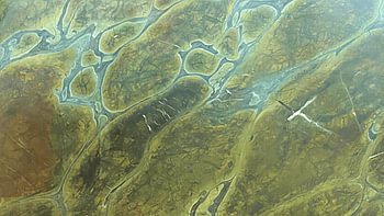 Imaginäre Welten: Living Delta