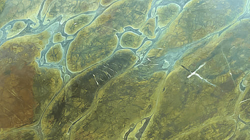 Living Delta - Olive and Sage Green Abstract