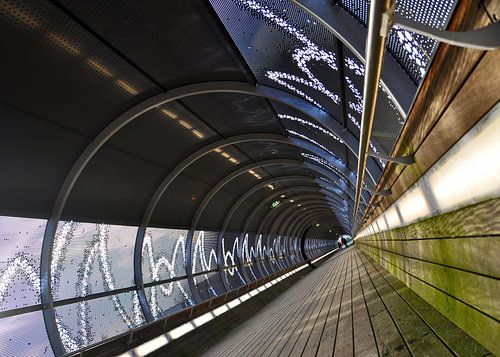 sich an die Regeln halten