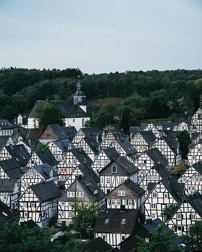 Half-timbered houses