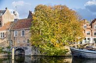 The chestnut of Delfshaven by Frans Blok - photos, art and other wall decoration thumbnail