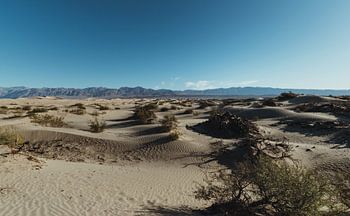 Sandlandschaft im Death Valley | Reisefotografie Fine Art Photo Print | Kalifornien, U.S.A.
