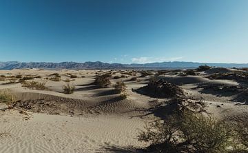 Landschap van zand in Death Valley | Reisfotografie fine art foto print | Californië, U.S.A. van Sanne Dost