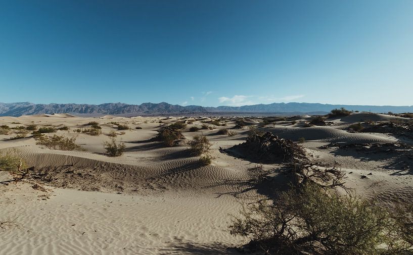 Paysage de sable dans la Vallée de la Mort | Photographie de voyage Tirage photo d'art | Californie, par Sanne Dost