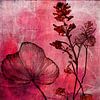Botanical Mixed Media Art: Wildpflanzen in Altrosa von Studio Pieternel