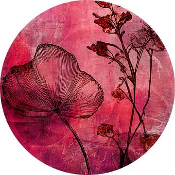 Moderne  Botanische Illustratie.  Wilde planten in oud roze