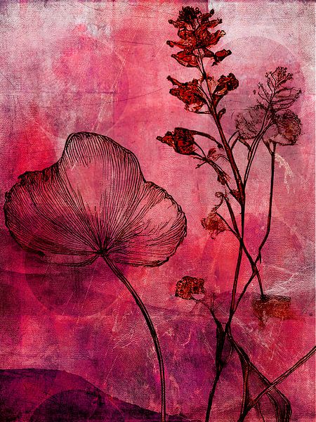 Botanical Mixed Media Art: Wildpflanzen in Altrosa von Studio Pieternel