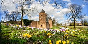 Le Monnickendam