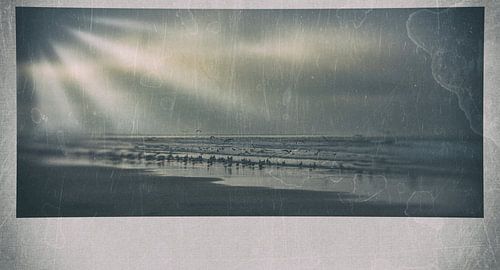 Zonneharpjes in de vooravond van Erik Reijnders