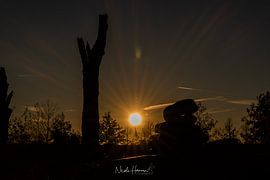 magical moment by Nicole Harren