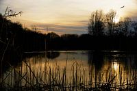 on the threshold of day and night