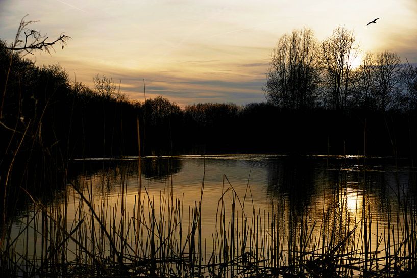 on the threshold of day and night by YH photoarts