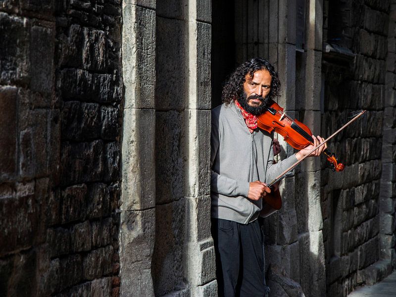 De voorzichtige violist van Emil Golshani