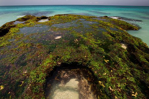 Rotspartij Dreamland Beach Bali Indonesië