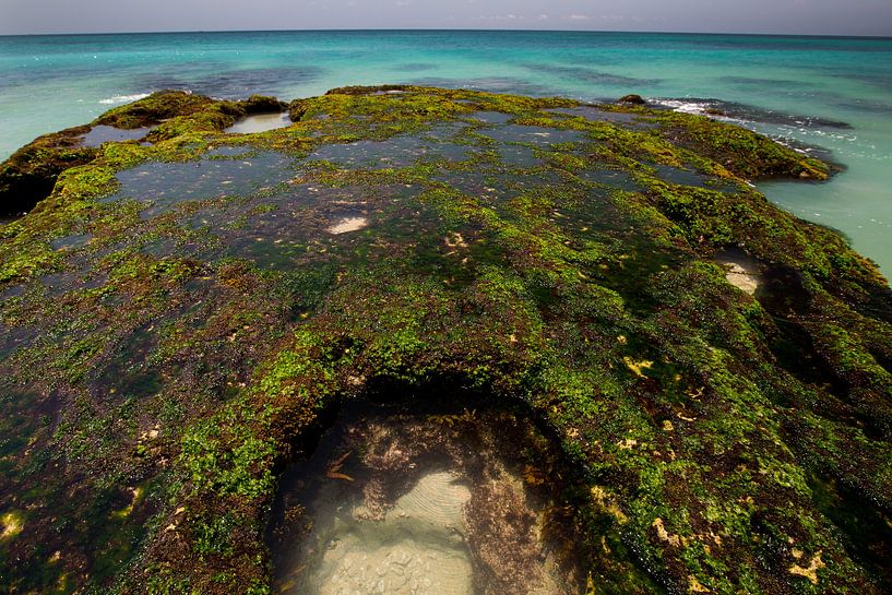 Rotspartij Dreamland Beach Bali Indonesië van Willem Vernes