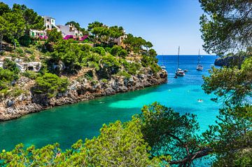 Mallorca Balearische Inseln, Blick auf die Bucht Cala Pi von Alex Winter