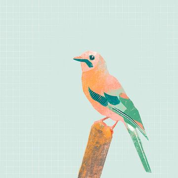 Vlaamse gaai, vogel illustratie van Colors And Happiness