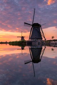 Warm symmetry