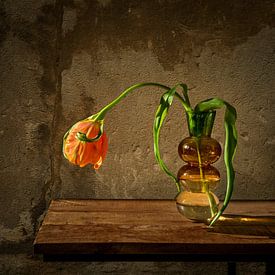 Stilleben mit Blumen. Tulpe in Vase. von Alie Ekkelenkamp
