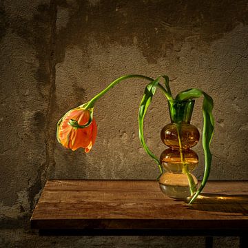 Stilleven met bloemen. Tulp in Moderne Vaas. van Alie Ekkelenkamp