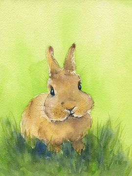 Bunny in the meadow by Karen Kaspar