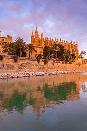De kathedraal La Seu in Palma de Mallorca bij avond, Mallorca van Christian Müringer
