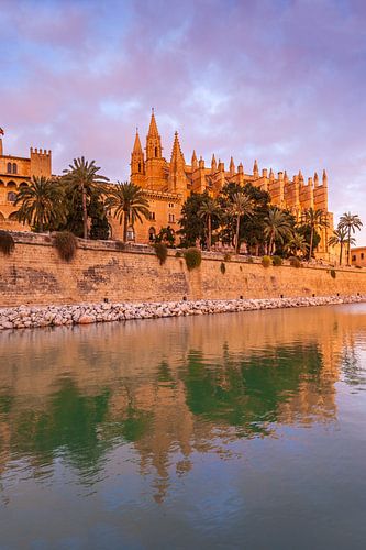 La Seu Cathedral in Palma de Mallorca at night, Mallorca