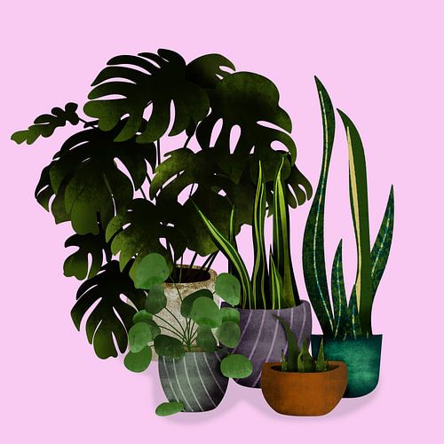 Botanical drawing green plants.