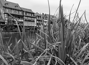 Schwarzweiß Fotografie Am Ufer der Regnitz mit Schliff in Klein Venedig in der Stadt Bamberg Oberfranken Bayern
