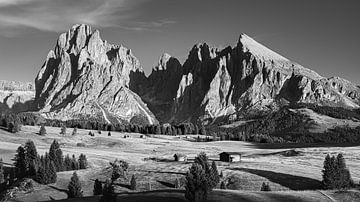 Alpe di Siusi en noir et blanc