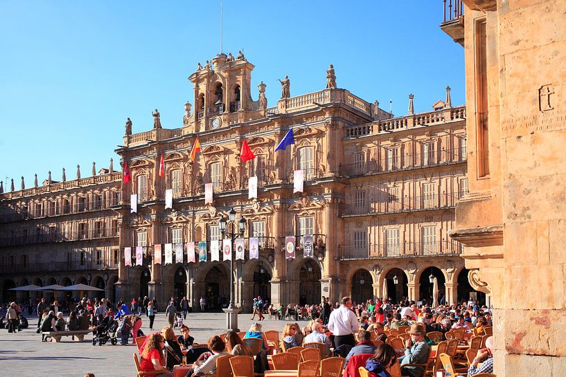 Plaza Mayor mit Rathaus bei Abendlicht, Salamanca, Castilla y Leon, Kastilien-Leon, Spanien von Torsten Krüger