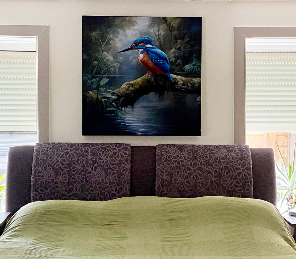 Eisvogel 9