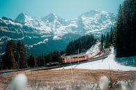 Trein in de bergen in zwitserland van Thomas Kuipers thumbnail